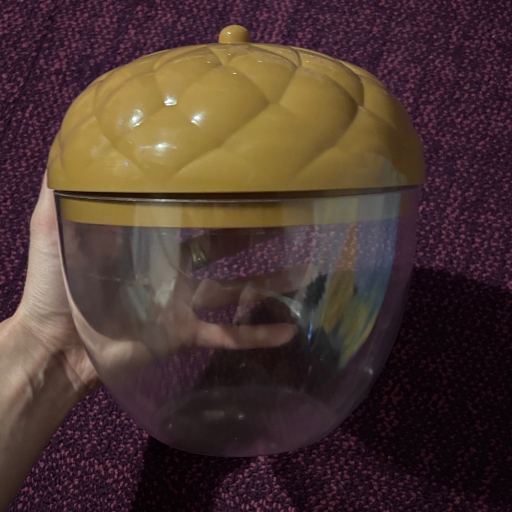 Acorn plastic container - Picture 2 of 2